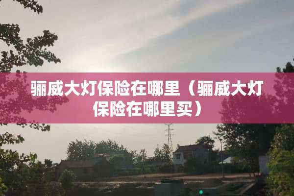 骊威大灯保险在哪里（骊威大灯保险在哪里买）