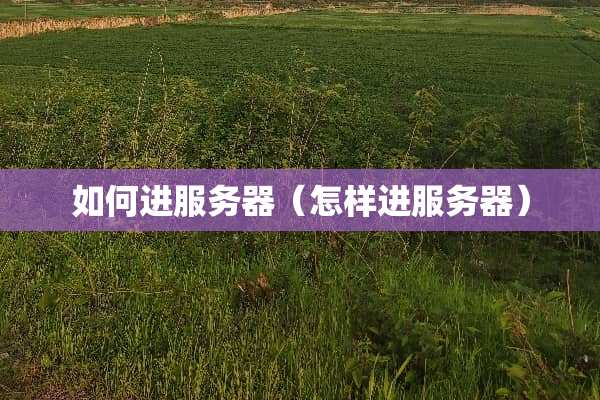 如何进服务器（怎样进服务器）