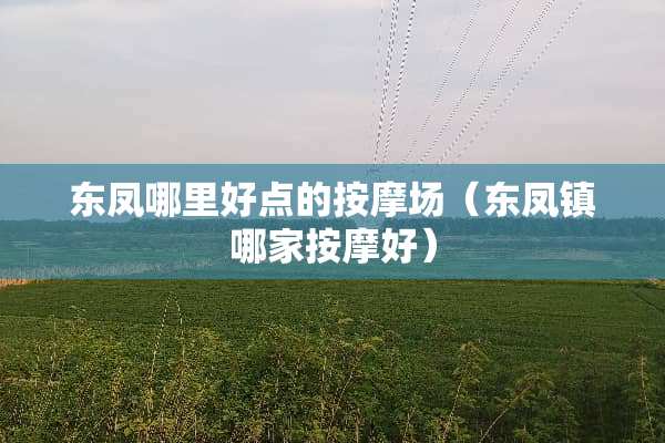 东凤哪里好点的按摩场（东凤镇哪家按摩好）