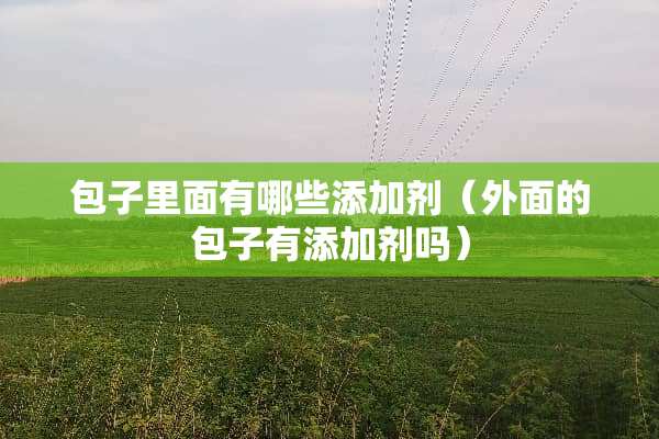 包子里面有哪些添加剂（外面的包子有添加剂吗）