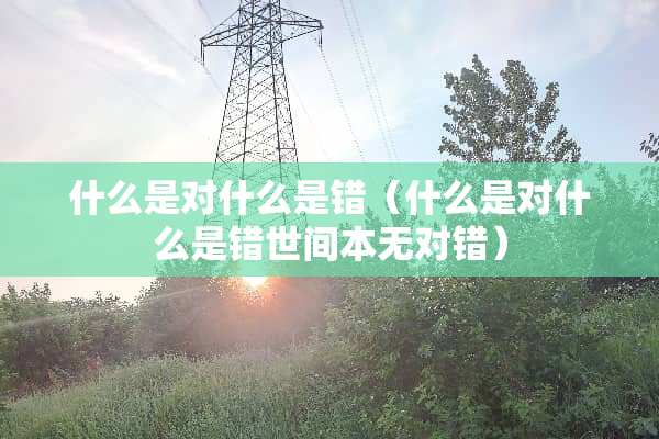 什么是对什么是错（什么是对什么是错世间本无对错）