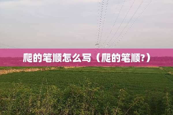 爬的笔顺怎么写（爬的笔顺?）