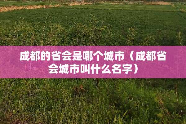 成都的省会是哪个城市（成都省会城市叫什么名字）