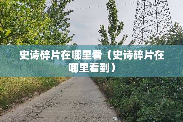 史诗碎片在哪里看（史诗碎片在哪里看到）