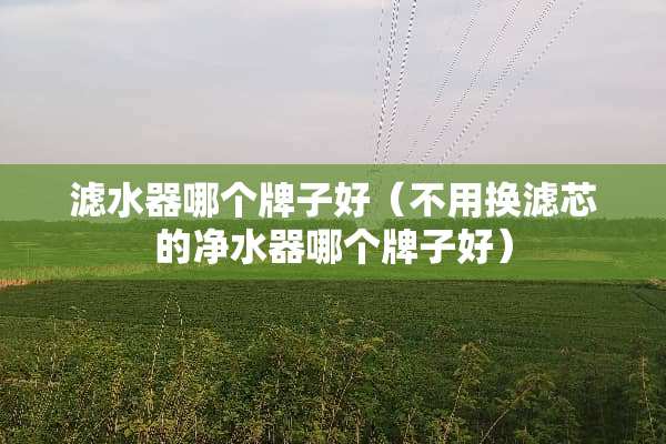 滤水器哪个牌子好（不用换滤芯的***哪个牌子好）