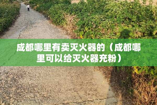 成都哪里有卖灭火器的（成都哪里可以给灭火器充粉）