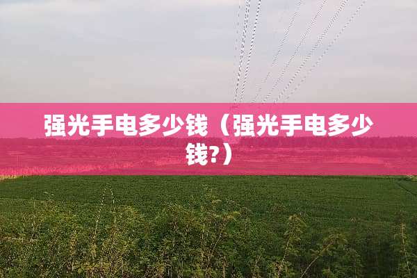 强光手电多少钱（强光手电多少钱?）