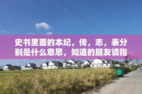 史书里面的本纪，传，志，表分别是什么意思，知道的朋友请指教。谢？