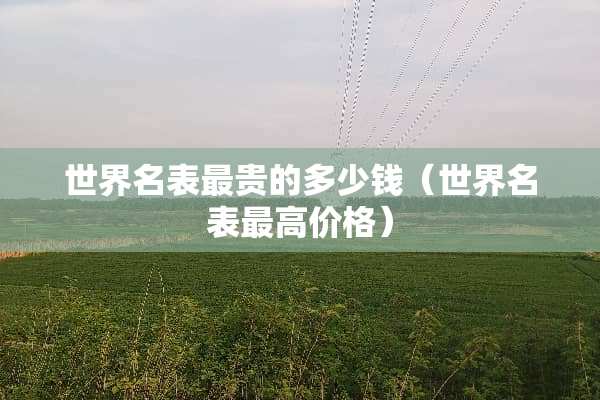 世界名表最贵的多少钱（世界名表最高价格）