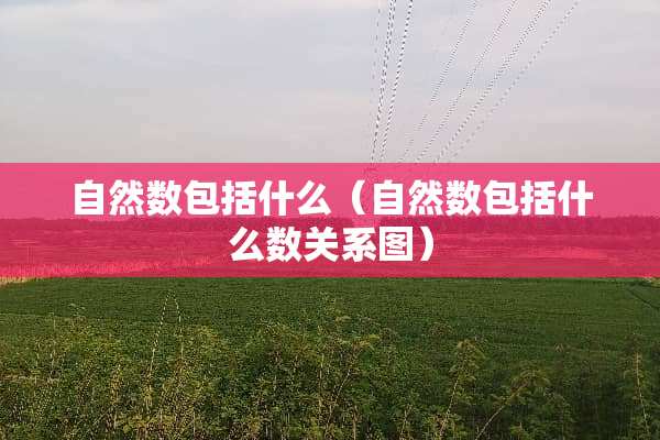 自然数包括什么（自然数包括什么数关系图）