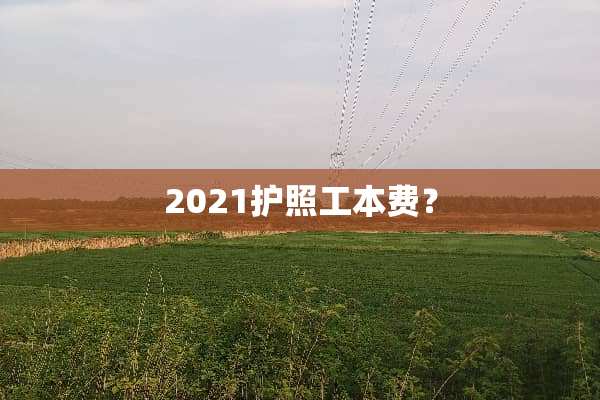 2021护照工本费？
