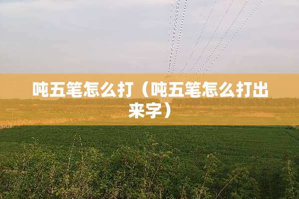 吨五笔怎么打（吨五笔怎么打出来字）