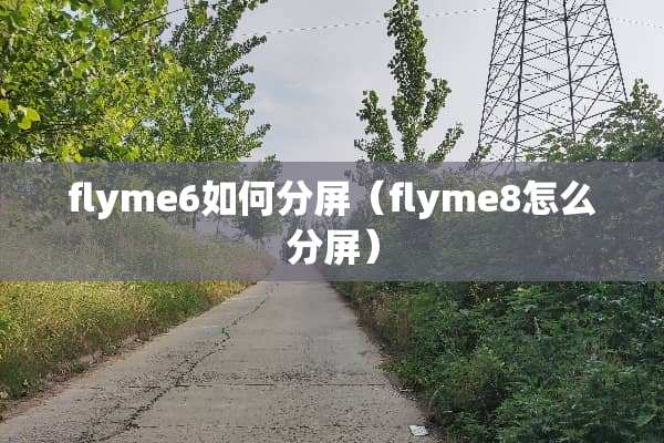 flyme6如何分屏（flyme8怎么分屏）