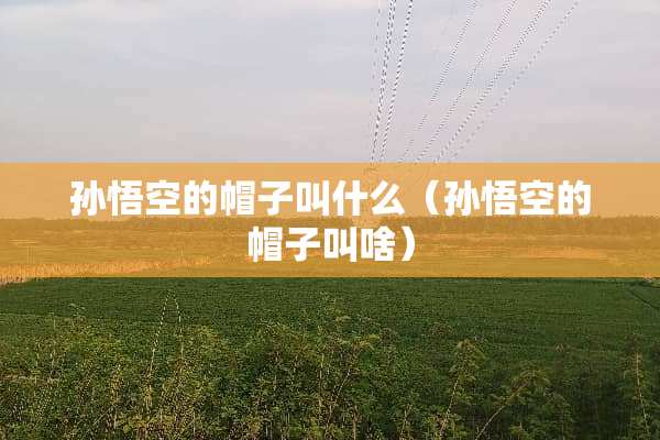 孙悟空的帽子叫什么（孙悟空的帽子叫啥）