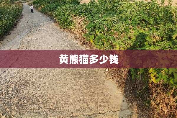 黄熊猫多少钱