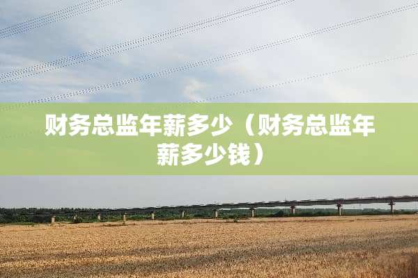 财务总监年薪多少（财务总监年薪多少钱）