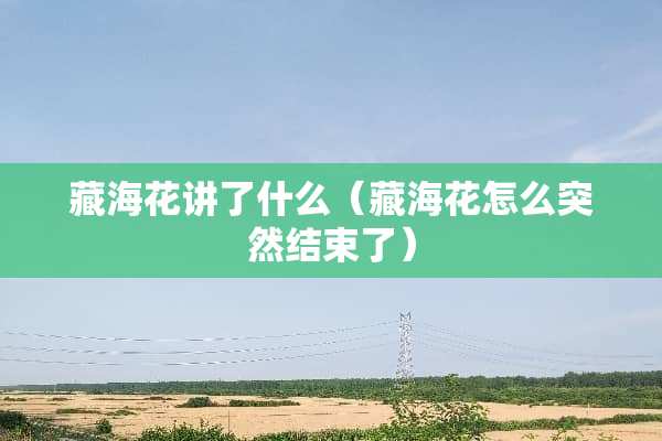 藏海花讲了什么（藏海花怎么突然结束了）
