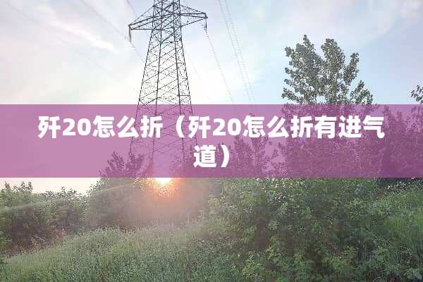 歼20怎么折（歼20怎么折有进气道）