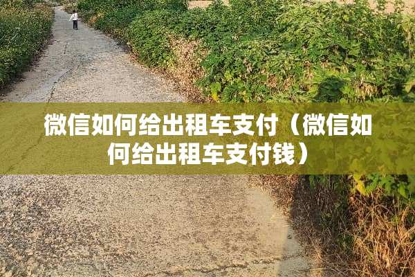 微信如何给出租车支付（微信如何给出租车支付钱）