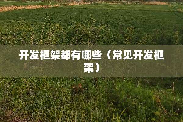 开发框架都有哪些（常见开发框架）