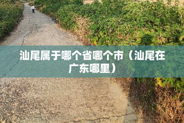 汕尾属于哪个省哪个市（汕尾在广东哪里）
