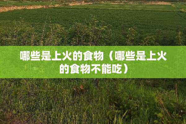 哪些是上火的食物（哪些是上火的食物不能吃）