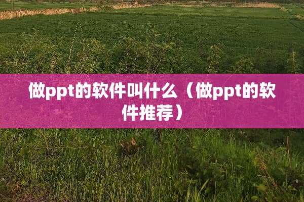 做ppt的软件叫什么（做ppt的软件推荐）