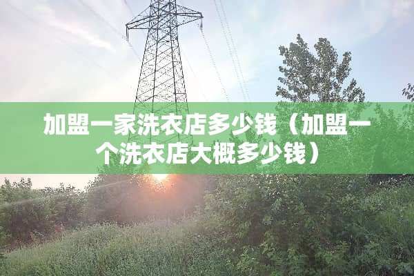 加盟一家洗衣店多少钱（加盟一个洗衣店大概多少钱）