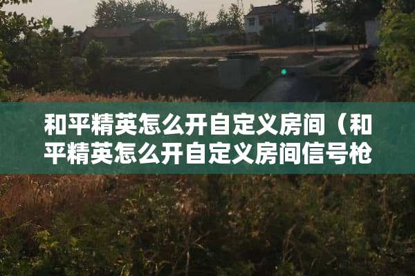 和平精英怎么开自定义房间（和平精英怎么开自定义房间信号*模式）