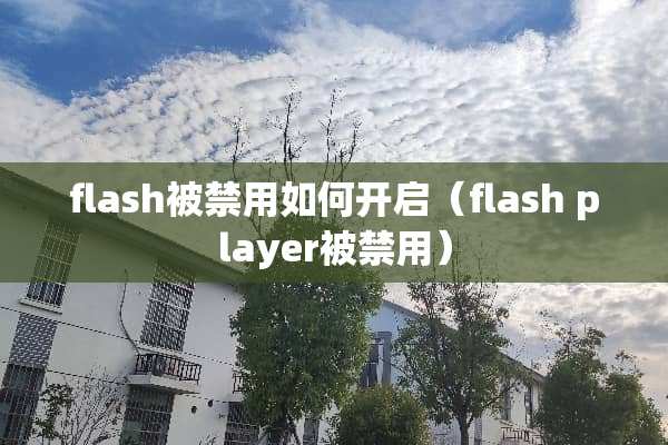 flash被禁用如何开启（flash player被禁用）
