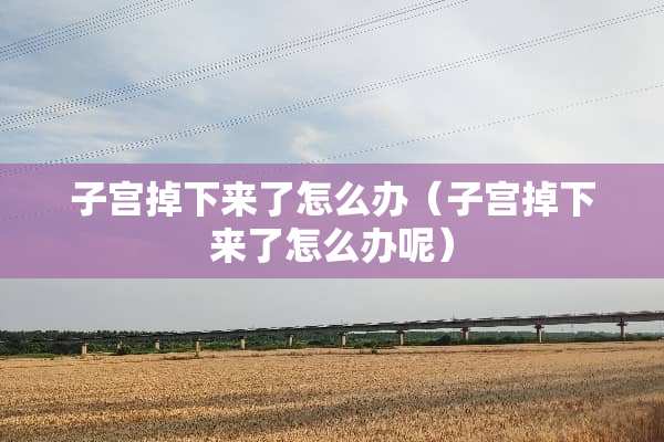 子宫掉下来了怎么办（子宫掉下来了怎么办呢）