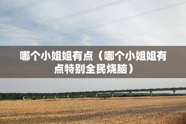 哪个小姐姐有点（哪个小姐姐有点特别全民烧脑）