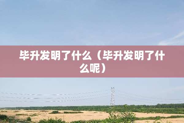 毕升发明了什么（毕升发明了什么呢）