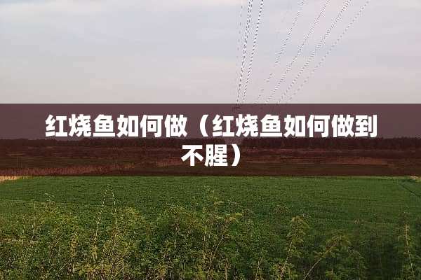 红烧鱼如何做（红烧鱼如何做到不腥）