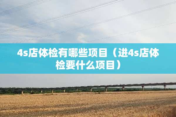 4s店体检有哪些项目（进4s店体检要什么项目）