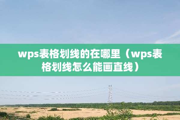 wps表格划线的在哪里（wps表格划线怎么能画直线）