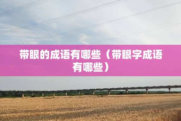 带眼的成语有哪些（带眼字成语有哪些）