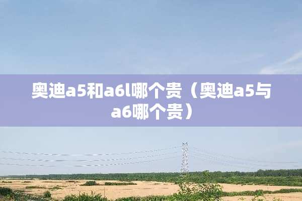 奥迪a5和a6l哪个贵（奥迪a5与a6哪个贵）