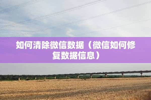 如何清除微信数据（微信如何修复数据信息）