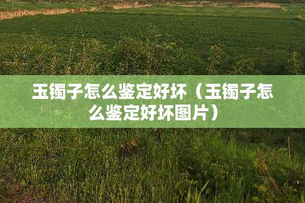 玉镯子怎么鉴定好坏（玉镯子怎么鉴定好坏图片）