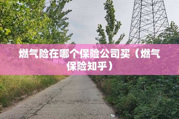 燃气险在哪个保险公司买（燃气保险知乎）