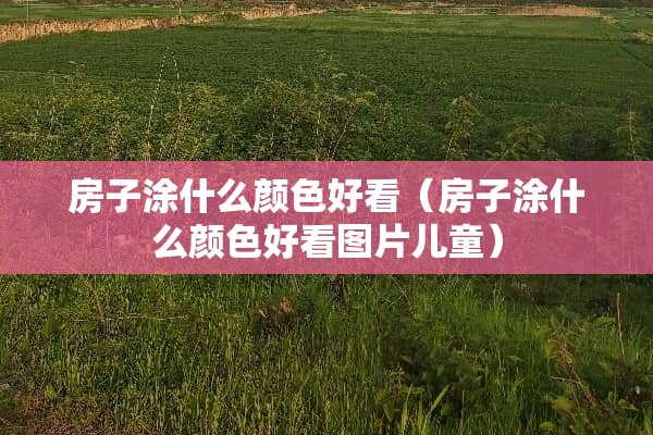 房子涂什么颜色好看（房子涂什么颜色好看图片儿童）