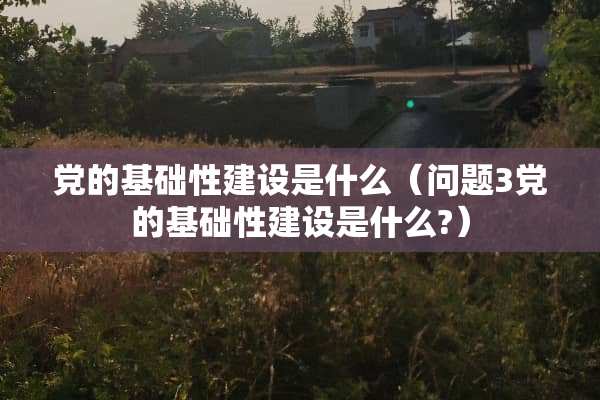 *的基础性建设是什么（问题3*的基础性建设是什么?）