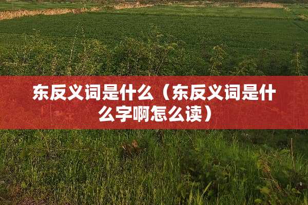 东反义词是什么（东反义词是什么字啊怎么读）