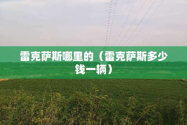雷克萨斯哪里的（雷克萨斯多少钱一辆）