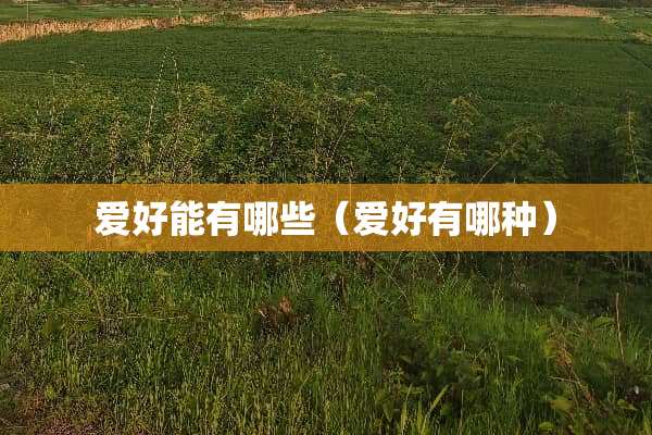 爱好能有哪些（爱好有哪种）