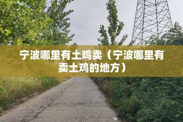 宁波哪里有土鸡卖（宁波哪里有卖土鸡的地方）