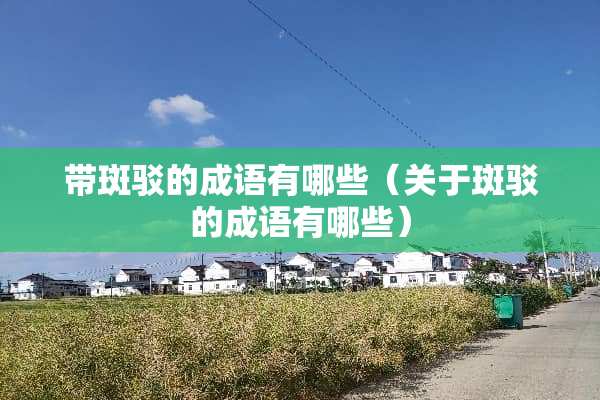 带斑驳的成语有哪些（关于斑驳的成语有哪些）