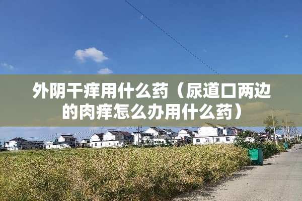 外*干痒用什么药（尿道口两边的肉痒怎么办用什么药）