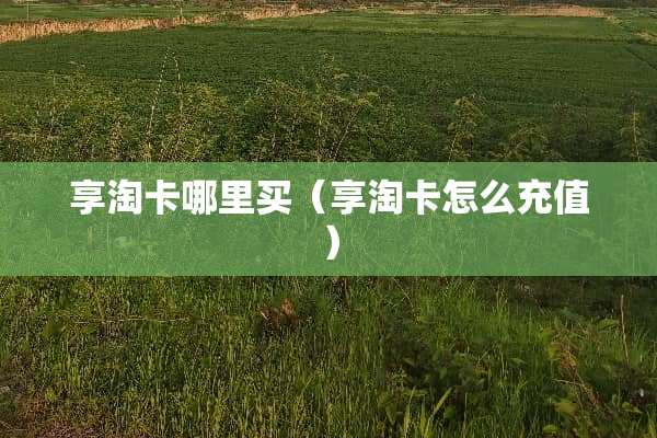 享淘卡哪里买（享淘卡怎么充值）